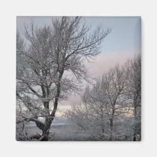 Schnee umfaßte Niederlassungen Magnet