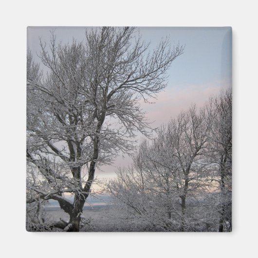 Schnee umfaßte Niederlassungen Magnet (Vorne)