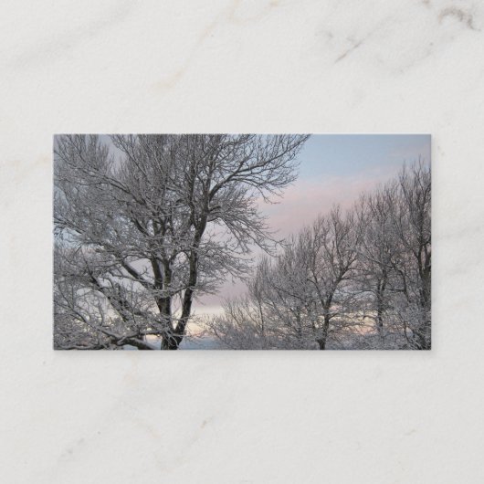 Schnee umfaßte Niederlassungen Visitenkarte (Vorderseite)