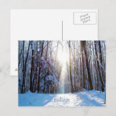 Schnee und Bäume mit Liegen Postkarte (Vorne/Hinten)