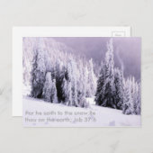 Schnee und Bibel Postkarte (Vorne/Hinten)