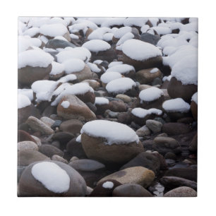 Schnee und Felsen, Mt. Rainier Nationalpark Fliese