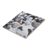 Schnee und Felsen, Rainier-Nationalpark 2 Fliese (Seite)