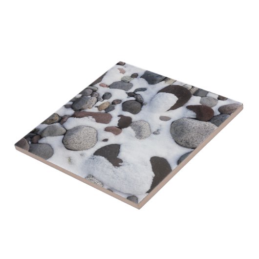 Schnee und Felsen, Rainier-Nationalpark 2 Fliese (Seite)