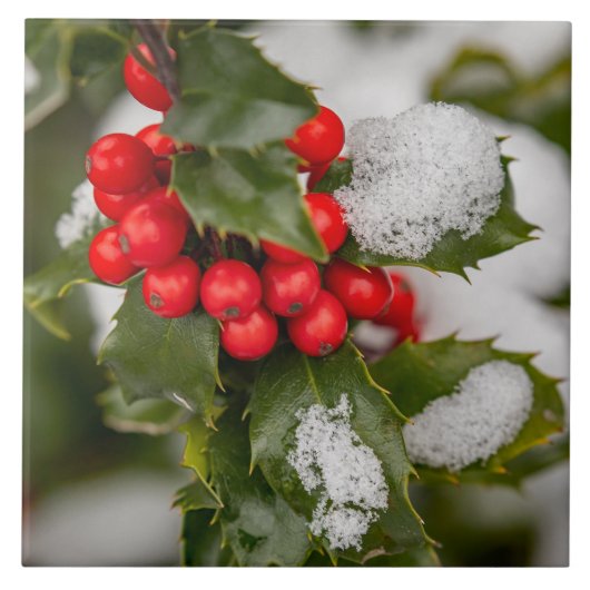 Schnee und Holly Fliese (Vorderseite)