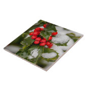 Schnee und Holly Fliese (Seite)