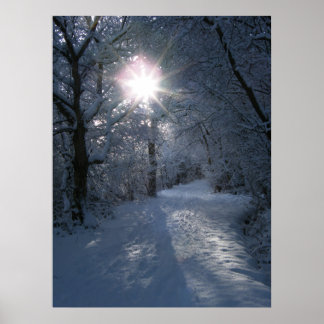 Schnee und Licht Poster