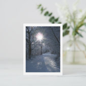 Schnee und Licht Postkarte (Stehend Vorderseite)