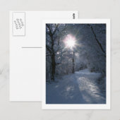 Schnee und Licht Postkarte (Vorne/Hinten)