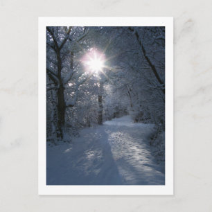 Schnee und Licht Postkarte