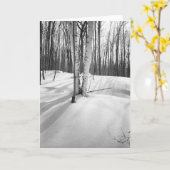 Schnee und weiße Birken Karte (Gelbe Blume)