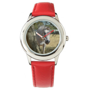 Schnee weiß das Pferd, Kinder rotes Leder beobacht Armbanduhr