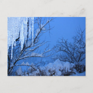 Schnee - Winter Postkarte