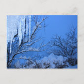 Schnee - Winter Postkarte (Vorderseite)