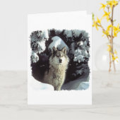 Schnee-Wolf-Wölfe Karte (Gelbe Blume)