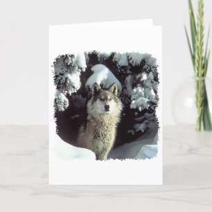 Schnee-Wolf-Wölfe Karte