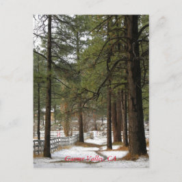 Schnee zu Weihnachten Postkarte