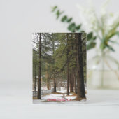 Schnee zu Weihnachten Postkarte (Stehend Vorderseite)