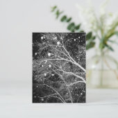 Schnee zwischen Branchen Postkarte (Stehend Vorderseite)