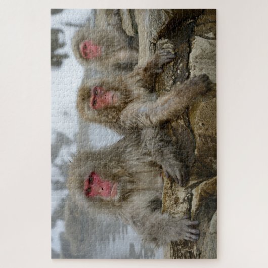 Schneeaffen im heißen Frühlingspool in Japan Puzzle (Vertikal)