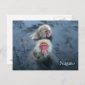 Schneeaffen in Nagano, Japan Postkarte (Vorne/Hinten)