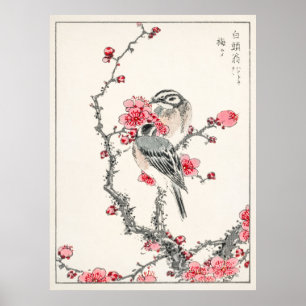 Schneeammer auf Pflaumenbaum von Numata Kashu Poster