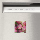 Schneeäpfel Magnet (In Situ (Geschirrspüler))