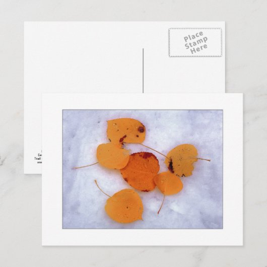 ‚Schneeaspens‘ Postkarte (Vorne/Hinten)