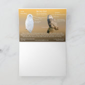 Schneeauge auf einem Baumstamm Karte (Innenseite)