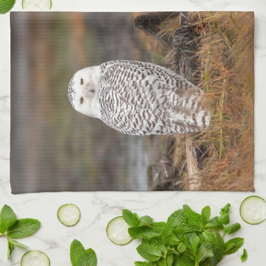 Schneeauge auf einem Stamm Geschirrtuch (Gefaltet)