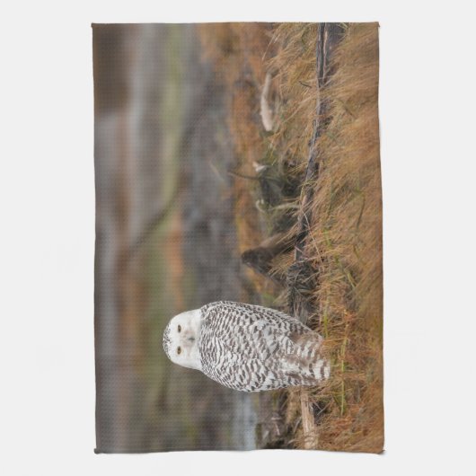 Schneeauge auf einem Stamm Geschirrtuch (Vertikal)