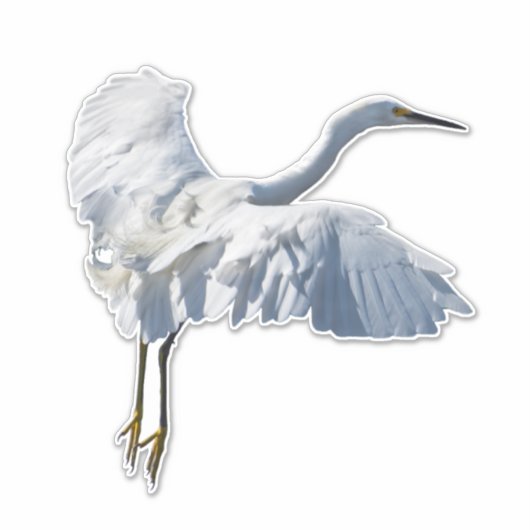 Schneeauge Aufkleber (Vorderseite)