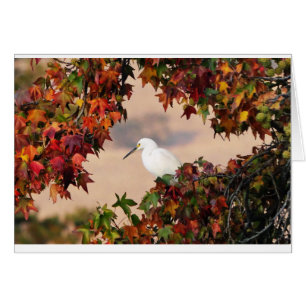 Schneeauge in der Herbstfarbe