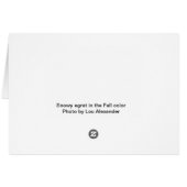 Schneeauge in der Herbstfarbe (Rückseite Horizontal)