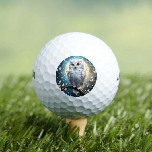 Schneeauge mit Funkeln, Golfball (Insitu T-Shirt)