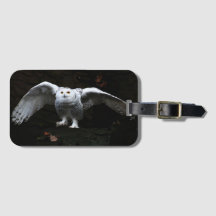 Schneeauge mit offenen Flügeln bc ltcnm