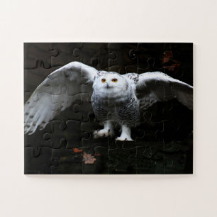 Schneeauge mit offenen Flügen 11x14 30pc jpcn Puzzle
