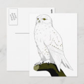 Schneeauge Postkarte (Vorne/Hinten)
