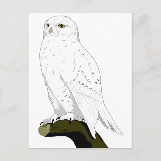 Schneeauge Postkarte (Vorderseite)