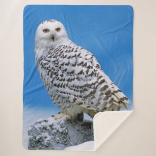 Schneeauge Sherpadecke