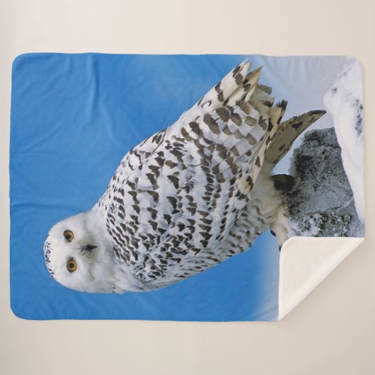 Schneeauge Sherpadecke (Vorderseite (Horizontal))