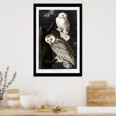 Schneeauge, Vintage Abbildung Poster (Küche)