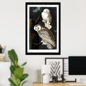 Schneeauge, Vintage Abbildung Poster (Heimbüro)