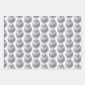 Schneeauge / Wanderfalken / Goldene Adler Geschenkpapier Set (Vorderseite)