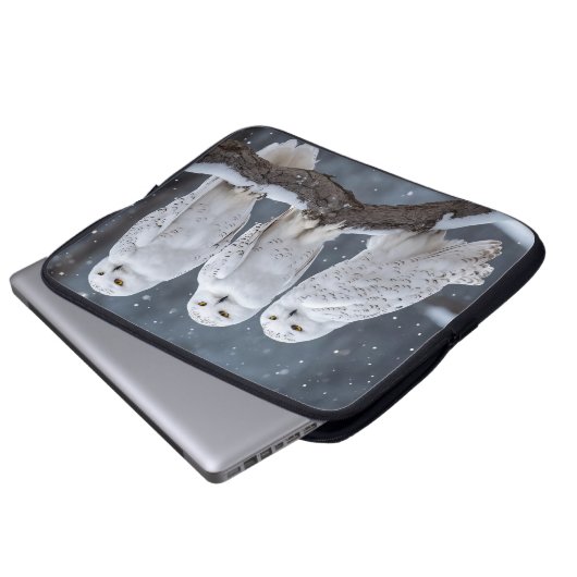 Schneeaugen auf Baumzweig Laptopschutzhülle (Vorne Knopf)