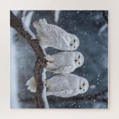 Schneeaugen auf Baumzweig Puzzle (Horizontal)