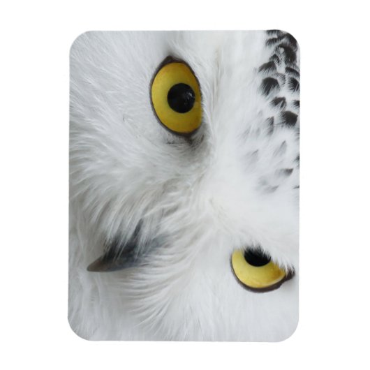 Schneeaugen Magnet (Vertikal)