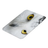 Schneeaugen Magnet (Linke Seite)