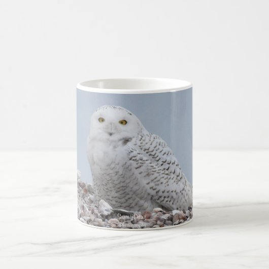 Schneeauschale auf Muscheln   Kaffeetasse (Mittel)