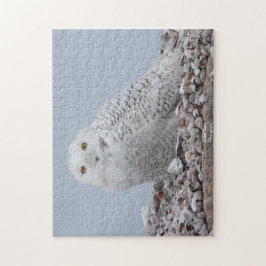 Schneeauschale auf Muscheln Puzzle